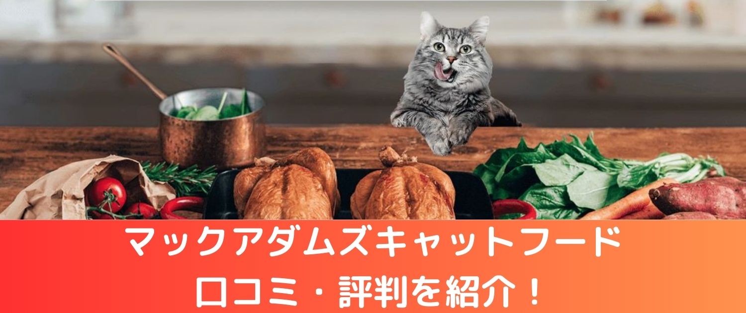 マックアダムズキャットフードの口コミ・評判は？ネコちゃんの食いつき抜群のキャットフード